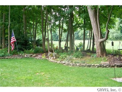 Yard/Garden