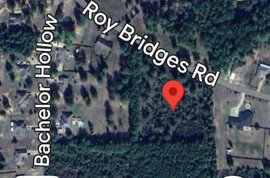 0 Tbd Roy Bridges Rd, Leesville, LA 71446 - photo 2