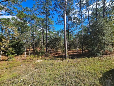 2171 SE 148 Ct, Williston Highlands, FL 32668 - photo 4