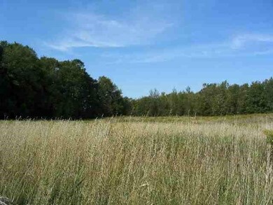 LOT F N Old Us Highway 31, Charlevoix, MI 49720 - photo 2