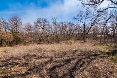 4 Lanes Ln, Pottsboro, TX 75076 - photo 7