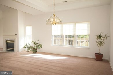 9921 Middle Mill Dr, Owings Mills, MD 21117 - photo 6