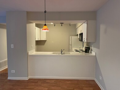 4500 Kings Walk Dr unit 2A, Rolling Meadows, IL 60008 - photo 2