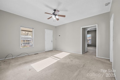 219 Link St, Fort Mill, SC 29715 - photo 6