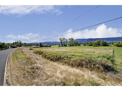 0 S Welcome Slough Rd, Cathlamet, WA 98612 - photo 4