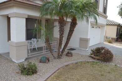 Front yard 1
