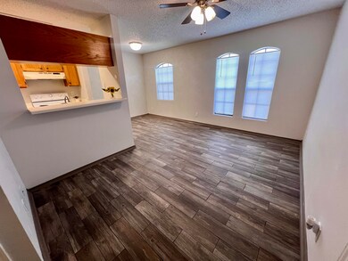 104 Belaire Dr unit 102, Laredo, TX 78041 - photo 4