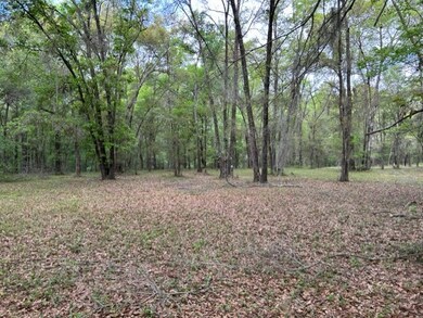 Lot 401 Blackberry Ln NE, Shellman Bluff, GA 31331 - photo 3