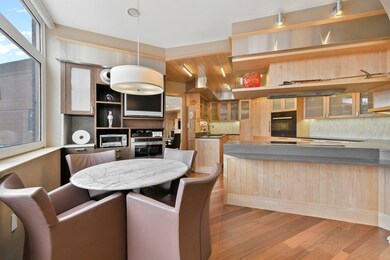 Hampton Place unit N 302, Chestnut Hill, MA 02467 - photo 6