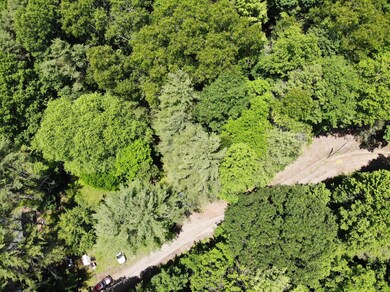 DJI_0939