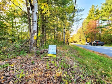 13347 Henry Rd, Natural Bridge, NY 13665 - photo 6