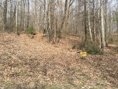 Keene 2