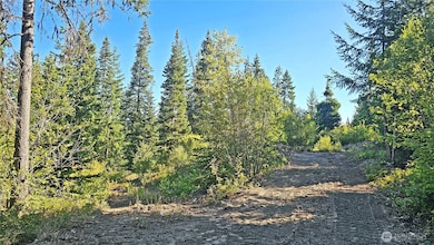 0 NKA Anders Dr, Cle Elum, WA 98922 - photo 2