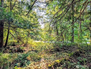 2 Mill Rd, Point Roberts, WA 98281 - photo 3