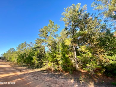 Lot 9 Adams Dr, Alford, FL 32420 - photo 2