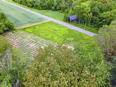 0 Meadow Rd, Montague, MA 01351 - photo 6