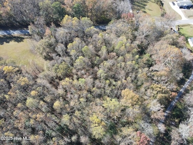 Lot 1 Alton Phillips Rd, Kinston, NC 28504 - photo 3