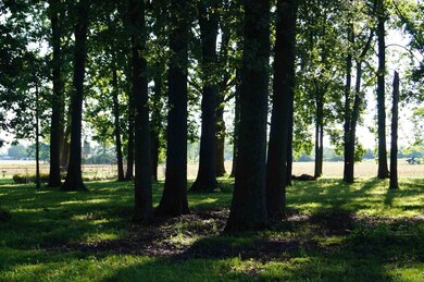 0 N Tanglewood Ln unit 202105521, Hamilton Township, IN 47304 - photo 3