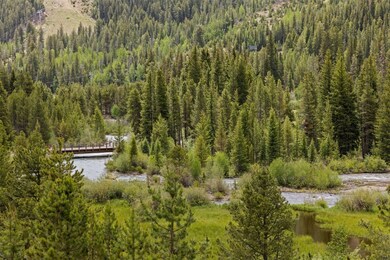 Views of Snake River wetlands and Keystone ski are