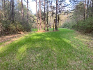 TBD Millers Ln Irene Rd, McComb, MS 39648 - photo 7