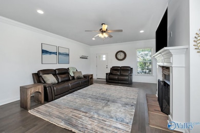 9001 Mountain Preserve Blvd, Gurley, AL 35748 - photo 6