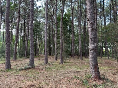 464 Paige Point Bluff, Seabrook, SC 29940 - photo 2