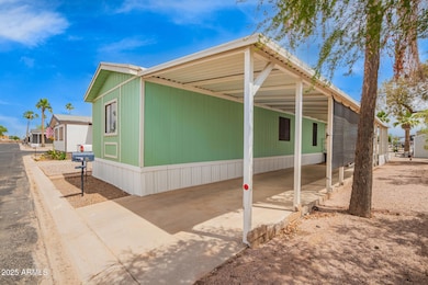 3 - Cottonwood