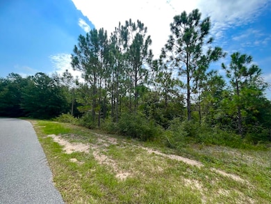 114 Tranquility Dr, Crestview, FL 32536 - photo 2