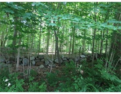 00 Moulton Hill Rd, Monson, MA 01057 - photo 3