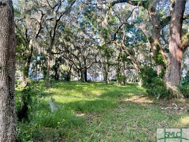 16 Sutherland Bluff Dr NE, Townsend, GA 31331 - photo 5