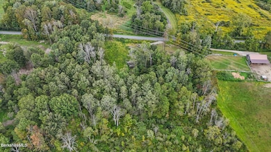 0 Miner Rd, New Ashford, MA 01237 - photo 6