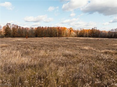 0 Cooper Rd unit 5176687, Lowellville, OH 44436 - photo 4