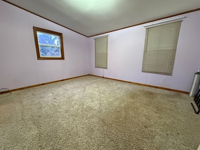 3244 Highway 167, Evening Shade, AR 72532 - photo 5