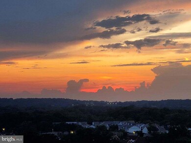 203 Yoakum Pkwy unit 1807, Alexandria, VA 22304 - photo 5