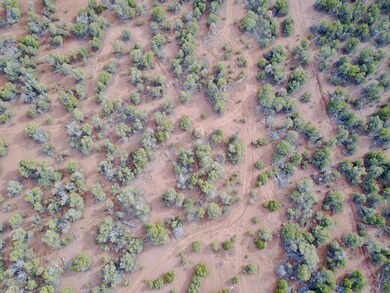 0 Cedar Creek Dr unit 224004, Aripine, AZ 85933 - photo 4