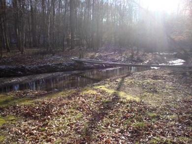 Beautiful Creek