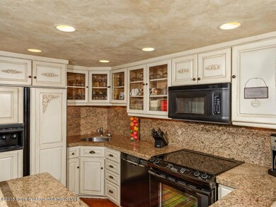 800 E Hopkins Ave unit A-1, Aspen, CO 81611 - photo 3