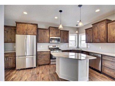 Gourmet kitchen with knotty alder cabinets and gra
