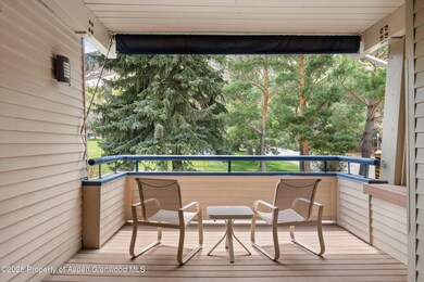 301 E Hyman Ave unit 202, Aspen, CO 81611 - photo 3