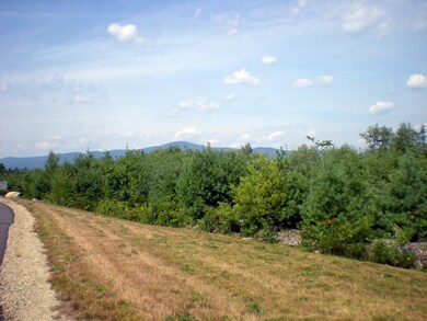 14 Deer Path Ln, Tuftonboro, NH 03816 - photo 5