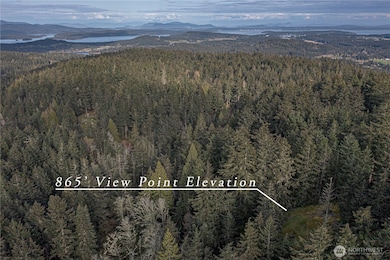 0 Cady Mountain Rd unit NWM2359002, San Juan Island, WA 98250 - photo 4