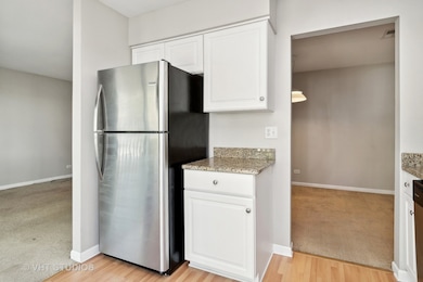 375 Springlake Ln unit C, Aurora, IL 60504 - photo 5