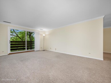 2000 Chestnut Ave unit 308, Glenview, IL 60025 - photo 6