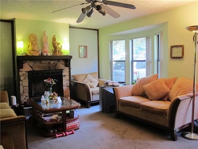 Living area with carpet, ceiling fan, and a stone 