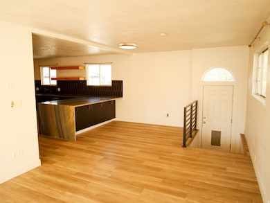 Kitchen featuring open shelves, dark countertops, modern cabinets, and light wood-style flooring