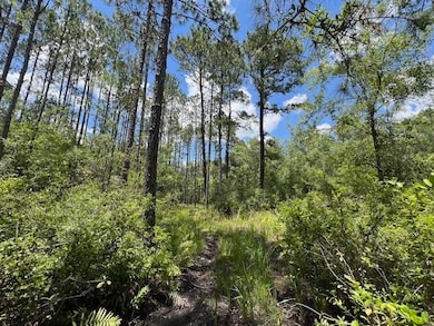 Towering trees provide natural shade and privacy,