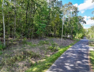 000 Scenic Dr, Hot Springs, AR 71913 - photo 3