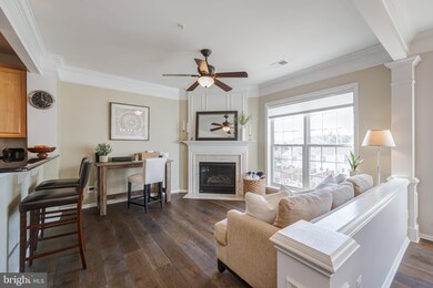 6333 Eagle Ridge Ln unit 43, Alexandria, VA 22312 - photo 4