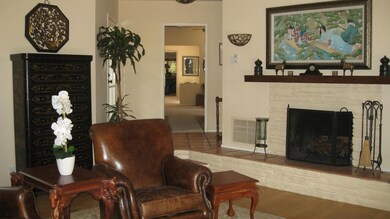 Wood & Gas Fire Place