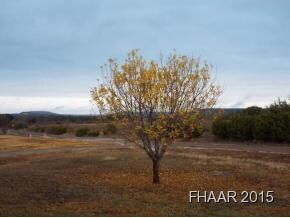 3415 Grimes Crossing Rd, Copperas Cove, TX 76522 - photo 5